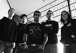 Info zur Band