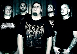 Info zur Band