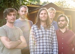 Fruit Bats