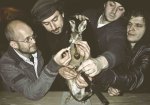 Info zur Band