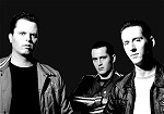 The Peacocks