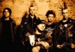 Info zur Band