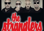 Info zur Band
