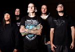 Info zur Band