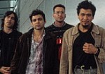 Info zur Band
