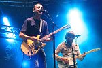 The Shins