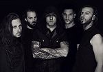 Info zur Band