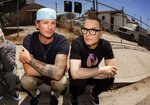Blink-182 (Foto: Rory Kramer)