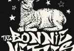 The Bonnie Nettles
