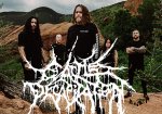 Cattle Decapitation Cattle Decapitation