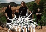 Cattle Decapitation