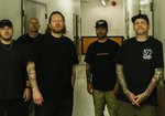 Comeback Kid (Foto: Ian Flynn)