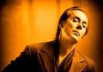Peter Murphy