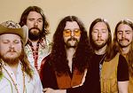 The Sheepdogs