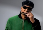 Stevie Wonder