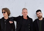 Sting