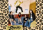 The Stripp