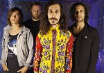 Turbowolf