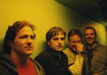 The Wrens