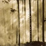 Deadbeat: New World Observer