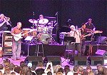Steely Dan